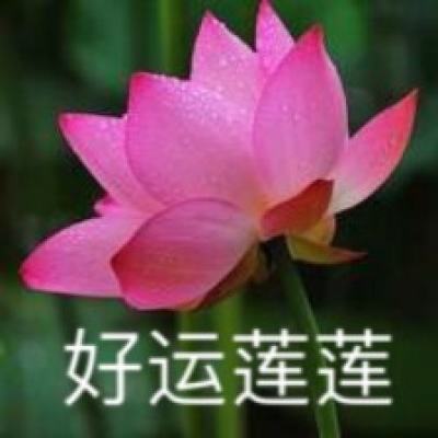 新华全媒+丨浙川携手 产业提升赋能巴蜀大地乡村振兴